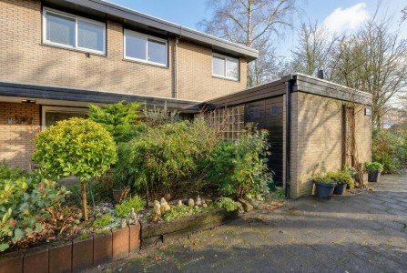 Bosplaat 71 Amsterdam