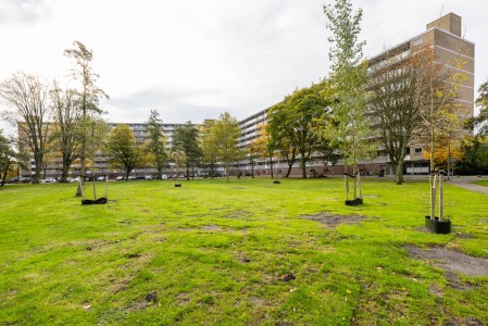 Kelloggplaats 248 ROTTERDAM