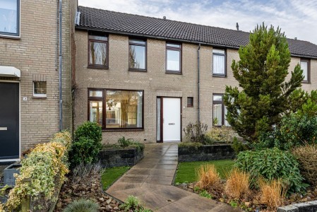 Tureluur 5 Sommelsdijk