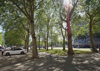 Groenendaal 15B Rotterdam