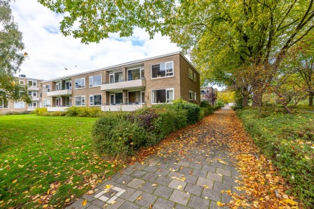 Helperzoom 165 GRONINGEN